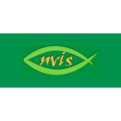 Nvis 7018 Synchronous Machine Training System