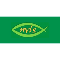 Nvis 7040 Single Phase Bridge Converter Drive