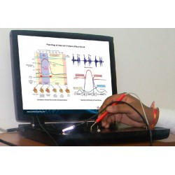 Scientech2356 TechBook para el Estudio del Sistema de Fonocardiografía