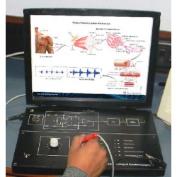 Scientech2354A TechBook para Compreensão Eletromiografia
