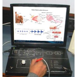 Scientech2354A TechBook para la Comprensión de Electromiografía