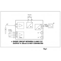 DO9403T-R1 pH / mV Transmitter