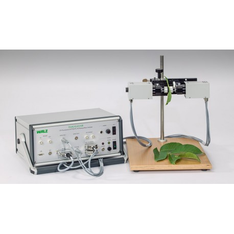 DUAL-KLAS-NIR Sistema de Medição de Fluorescência de Clorofila, P700, Plastocianina e Ferredoxina