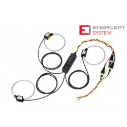 E23C5-101 Sistema de Calibrado Enercept (100 A, RS485, Mb / BAC, 3Ph4W IEC)