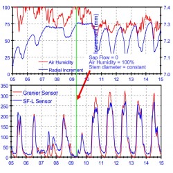 SF-G Sensor Flujo de Savia Ecomatik (2 agujas)