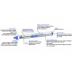 LEVELINE Registrador de Datos para Nivel y Temperatura del Agua