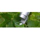 MONITORING-PAM Fluorometer for Long-term Monitoring of Photosynthesis
