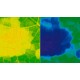 Sample image of beginning deletion in a lime tree leaf