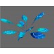 Photosystem II photochemical yield, Y(II), obtained with a plant of Arabidopsis thaliana in actinic light