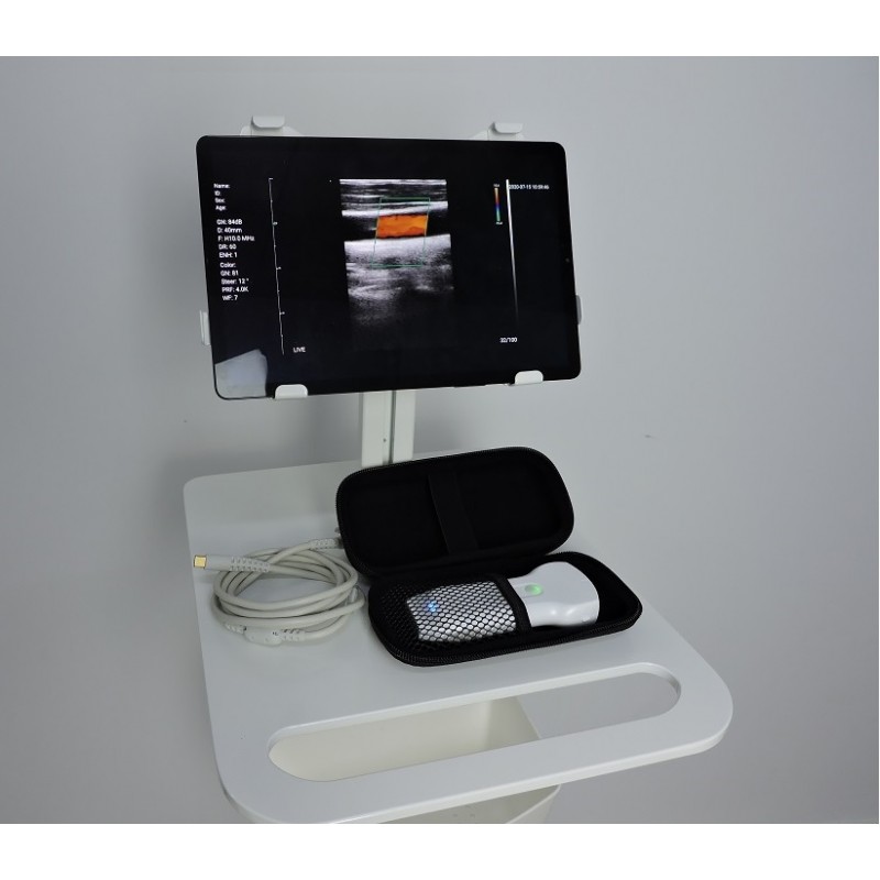 AO-C10RL Dual Head WIFI Probe Body Scanner (Linear + Convex & Cardiac) 5th  Generation (10MHz) - Maranata-Madrid SL - NIF B-85746204