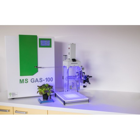 MS GAS Mass Spectrometer