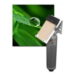 BF-B Sensor de Umidade da Folha e presença de chuva (Saída: 4÷20mA)
