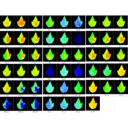 Closed GFP Cam FR-800-C/1010 GFP