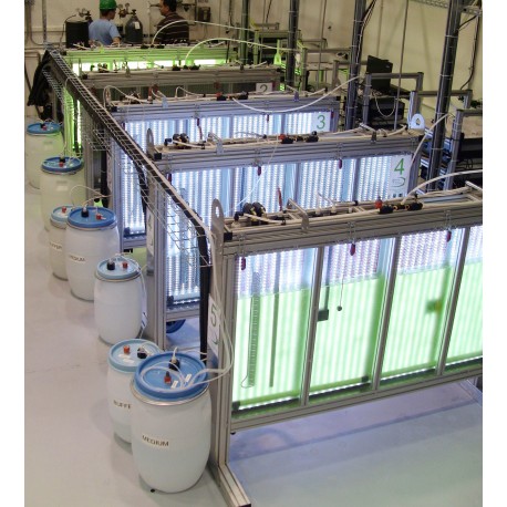 Large Scale Photobioreactors (25 l or 100 l volume)