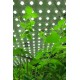 LED Fyto-Panels