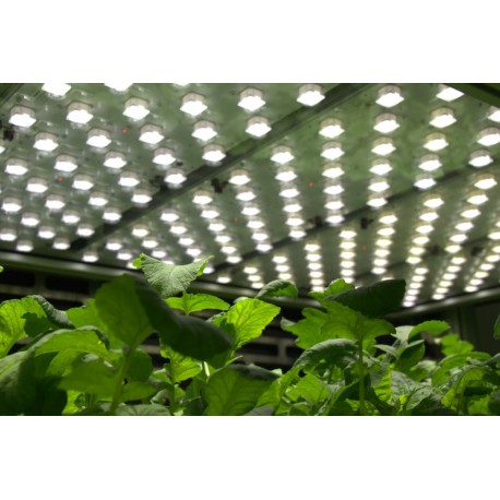 LED Fyto-Panels