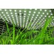 LED Fyto-Panels