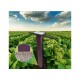 TDR-250 Economy Soil Moisture Meter