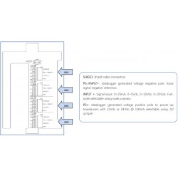 WSD12PS-4AIMx 4-Channel Data Logger with power supply generation for +12/24Vdc @100mA transducers