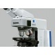 MICROSCOPY-PAM: Modified Zeiss microscope and PAM-CONTROL interface