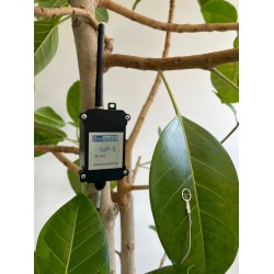 Ecomatik IoP Sistemas de medida de plantas