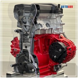 IVDB02 Petrol Engine Cutaway Model DOHC MPI