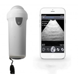 BAWHO Testador de gravidez veterinária portátil por ultrassom, sonda mecânica de 3,5 MHz