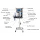 TA80V Ventilador veterinário inteligente + máquina de anestesia