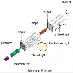 Nvis 660 Set of Polarizers