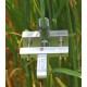 DD-S Diameter Dendrometer Small