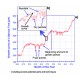 DD-S Diameter Dendrometer Small