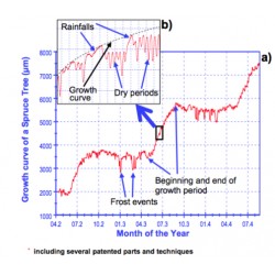 DC2 Circumference Dendrometer 2