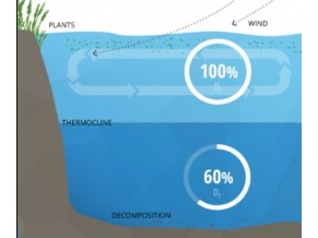 DISSOLVED OXYGEN