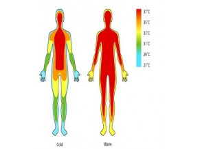 HUMAN TEMPERATURE