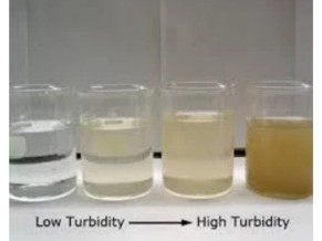 Turbidity