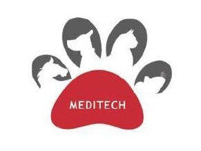 Meditech