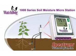 Soil Moisture