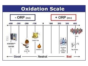 ORP - REDOX