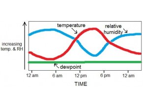 Dew Point